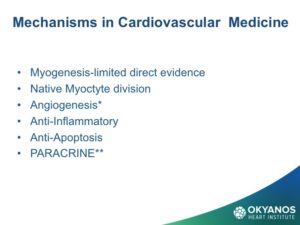 Diapositiva06