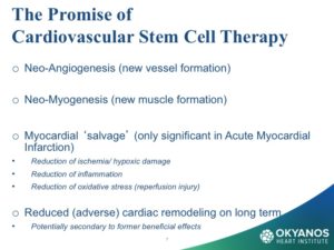 Diapositiva07