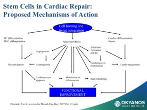 Diapositiva08