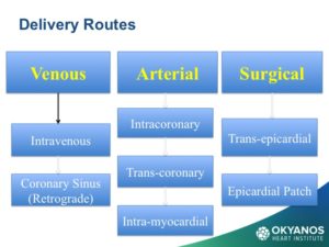 Diapositiva13