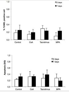 Figure 2. Immunosuppressive drugs do not affect beta cell survival. Rat islet cells were attached on culture dishes during 24h. Then, cells were exposed or not to the indicated immunosuppressive drugs (200 ng/ml CsA; 10 ng/ml tacrolimus and 5 μg/ml MPA). After 2 or 7 days, apoptosis was determined by TUNEL immunofluorescence (A) or in total islet cells by Cell Death detection ELISA (B). Mean ± SEM, n=3-5; *p < 0.05 vs. control.