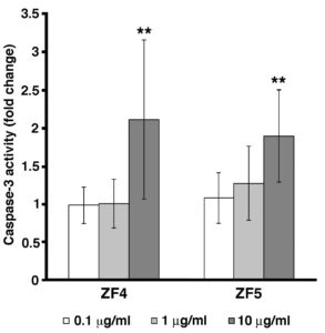 Figure 2. Caspase-3 activity is induced by late stage developmental extracts. Caspase-3 activity was evaluated in control and exposed cells by ELISA assay. hASCs were treated with ZF4, or ZF5 at the concentrations of 0.1, 1, and 10 μg/ml for 72 hours. Data are presented as ratio of treated cells to control cells (fold change). Caspase-3 activity is significantly increased in both ZF4 (10 μg/ml) and ZF5 (10 μg/ml) treated cells, as compared with control cells (**p < 0.01). Data are expressed as mean ± standard deviation of three independent experiments performed in duplicate on hASCs derived from three independent subjects. Statistical analysis was determined by t-test method.