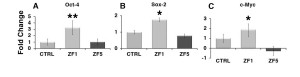 Figure 5. Early developmental stage extracts enhance the transcription of stemness/pluripotency-related genes. The gene expression of Oct-4 (A), Sox-2 (B) or c-Myc (C) was evaluated by real-time PCR in untreated cells and hASCs exposed for 72 hours to ZF1, or ZF5 (10 μg/ml). The amount of the investigated mRNAs from control (CTRL) and treated hASCs (ZF1 or ZF5) was normalized to HPRT1 and was plotted as fold change relative to the mRNA expression of control untreated cells, defined as 1. Data are expressed as mean ± standard deviation of three independent experiments performed in duplicate on hASCs derived from three independent subjects. Significantly different from the control: *p < 0.05, **p < 0.01. Statistical analysis was determined by t-test method.